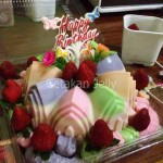 CJ Cetakan Silikon Kue Puding Chatedral