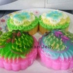Moon Cake Bulat Fish Pattern