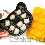 Cetakan Silikon Coklat Puding Pirate Bear