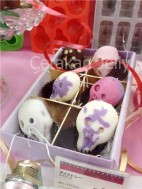 Cetakan Es Coklat Puding Scream