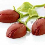 CJ Cetakan Silikon Kue Puding Tulip 8 cavity