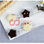 Cetakan Silikon Coklat Puding Mix Pentagon