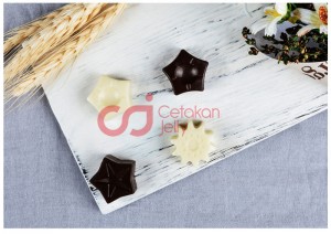 Cetakan Silikon Coklat Puding Mix Pentagon