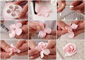 Cetakan Cookies Plum Cookie Cutter