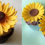 Cetakan Cookies Sunflower Plunger